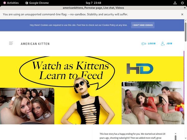 Account Free Americankittens