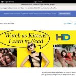 Americankitten.com By SMS