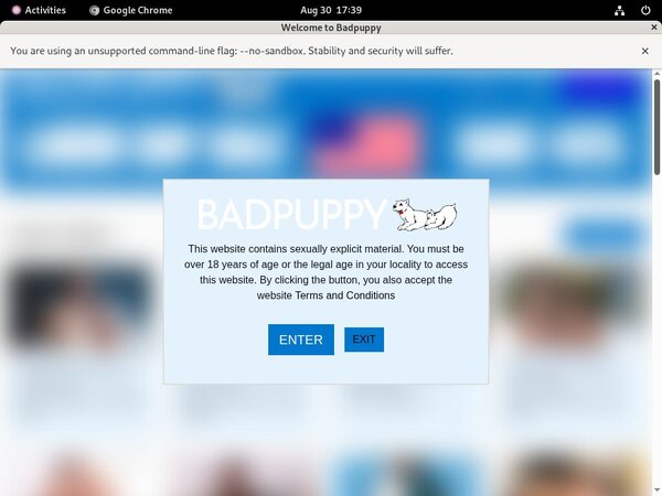 Badpuppy Login Ids