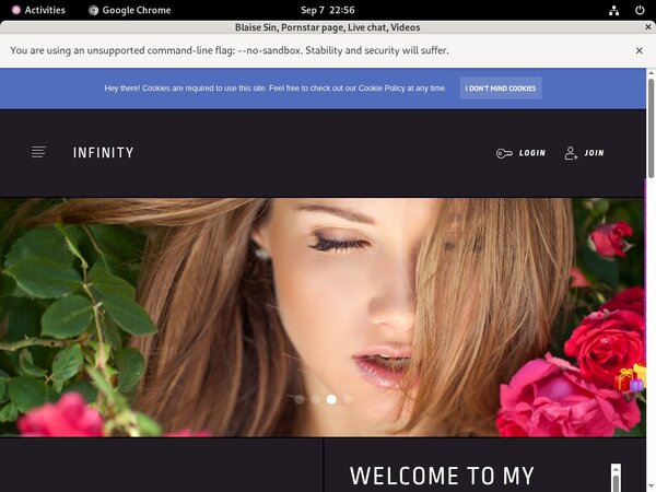 BlaiseSin Password Account