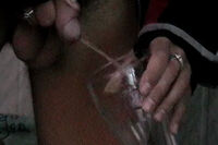 Boys Pissing Working Password s1