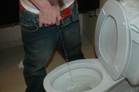 Boyspissing Full Hd Video s3