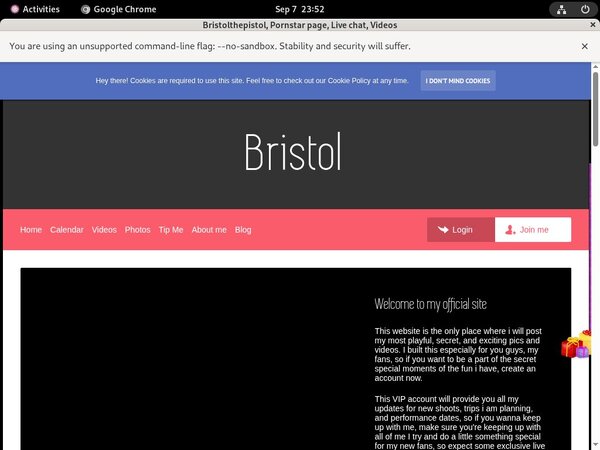 Bristolthepistol81.modelcentro.com Accs