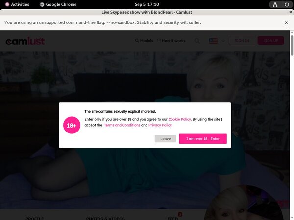 Camlust.com Account 2016