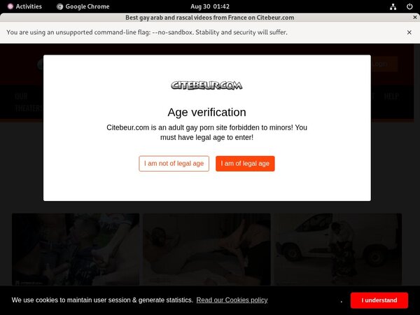 Citebeur Checkout Page