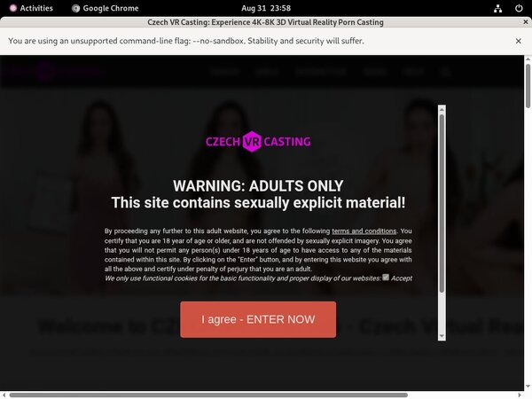 Czech VR Casting Account Trial