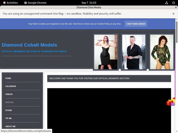 Diamonddivamodels.com Ccbill Form