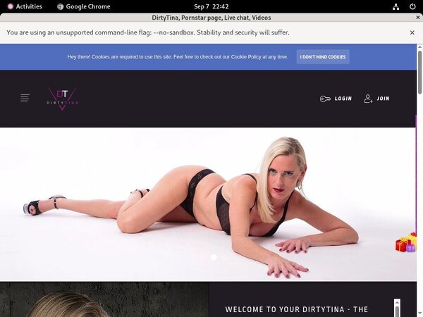 DirtyTina With Online Check