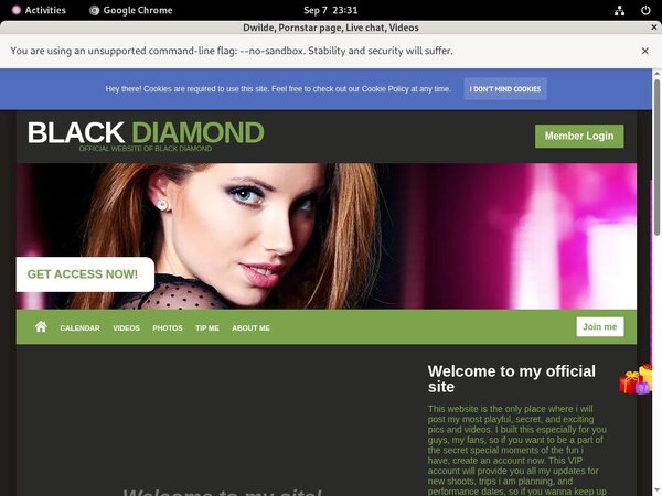 Dwilde Password Site