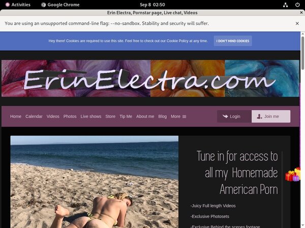 ErinElectra Pregnant
