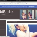 Free BaddBirdie Account Passwords