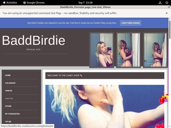 Free BaddBirdie Account Passwords