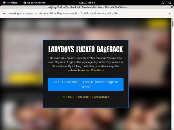 Free Ladyboysfuckedbareback Passwords