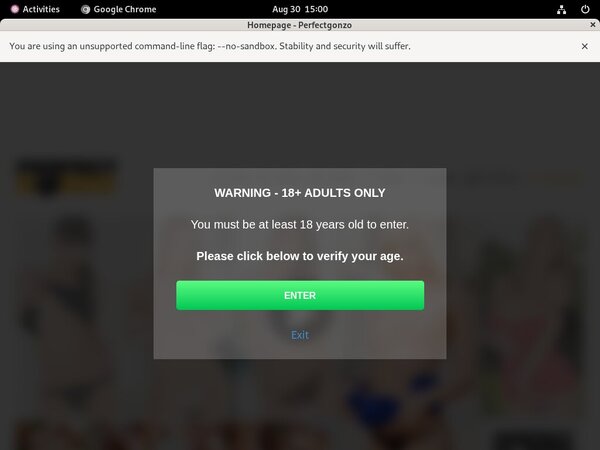 Free Perfectgonzo Account Login
