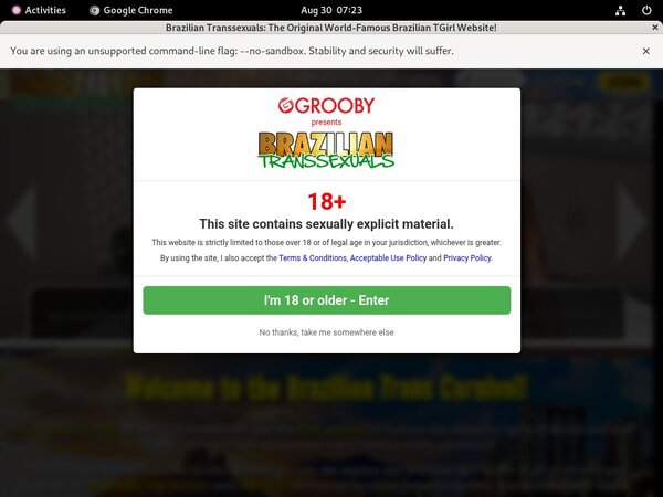 Free Premium Braziliantranssexuals Accounts