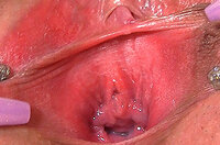 Gapemypussy Kennwort s6