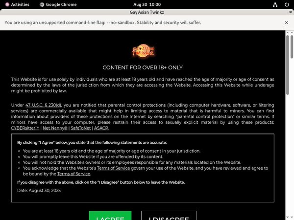 Gay Asian Twinkz Accounts And Password