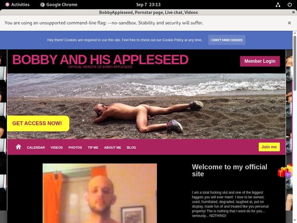 Get BobbyAppleseed Password