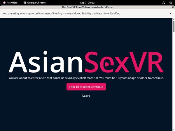 Get Inside Asian VR Sex