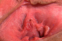 Get Inside Gape My Pussy s2