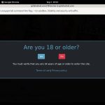 Girls In Steel Login Generator