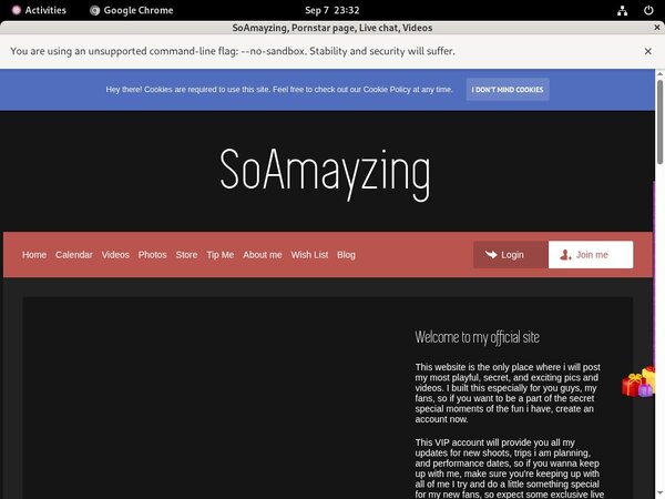 How Much Does SoAmayzing Cost How Much Does SoAmayzing Cost