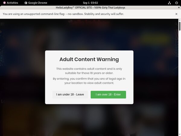 How To Access Helloladyboy.com