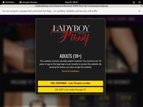 Ladyboy Pussy Special Offer