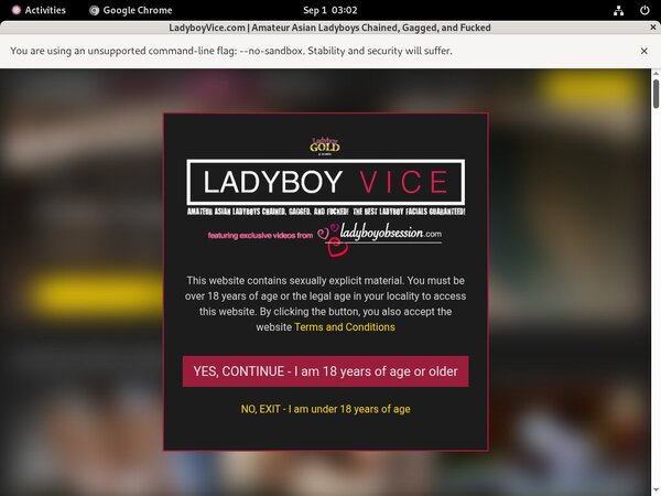 Ladyboyvice Mobile Porn