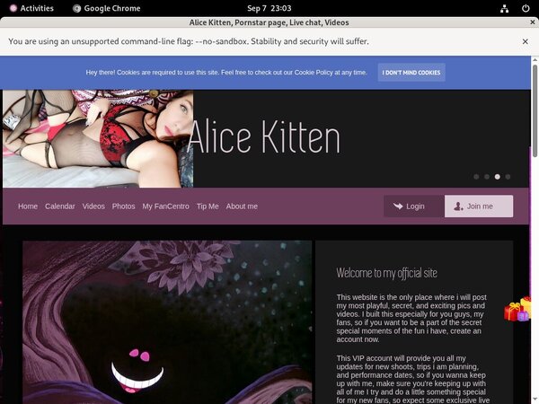 Lowest Alice Kitten Discount