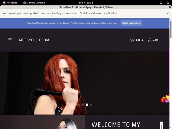 MessyCleo With Webbilling.com
