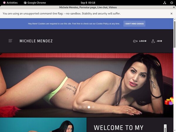 Michelemendez.modelcentro.com Payment Methods