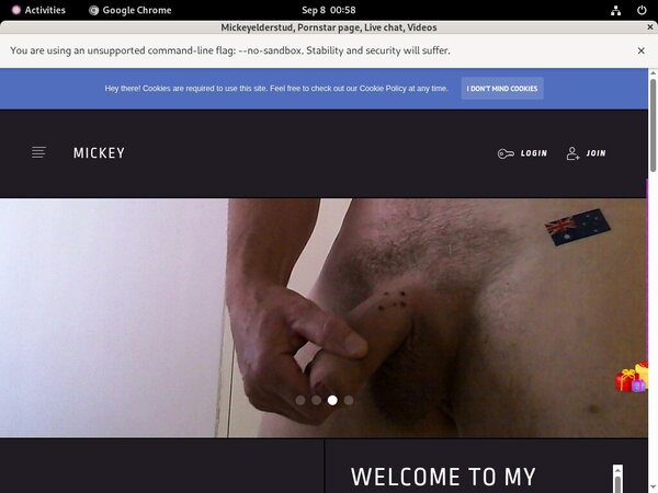 Mickeyelderstud.modelcentro.com Xx
