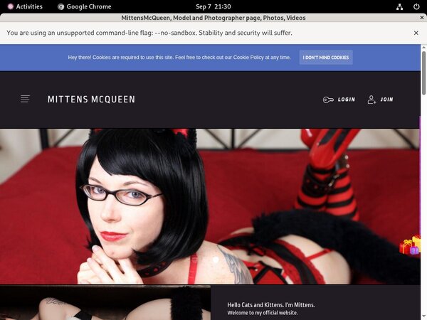 Mittensmcqueen.com Pro Biller Page