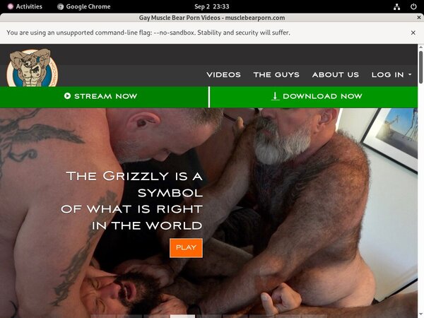 Muscle Bear Porn Offer