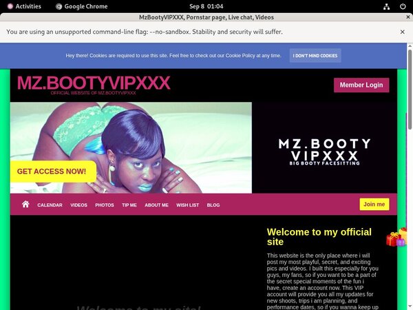 MzBootyVIPXXX Accounts And Passwords
