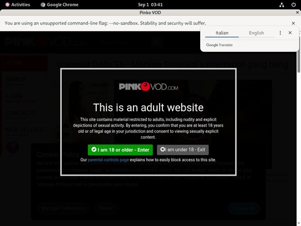 Pinkovod.com Cheap Offer
