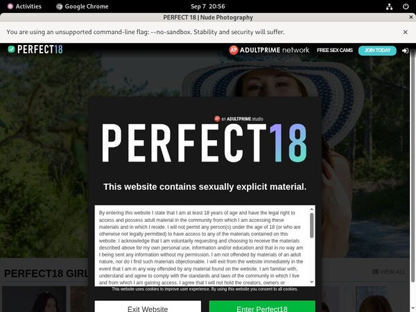 Porn Pass Perfect18