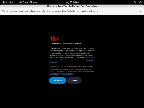 Porn Pros Network Accounts Password