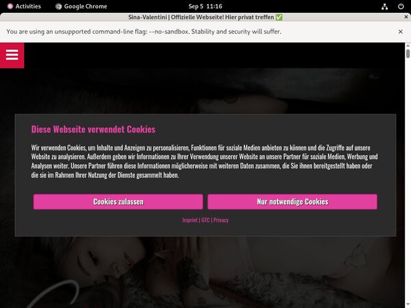 Premium Account Sina Valentini Free