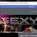 Premium Pelonasquirterqueen.com Passwords