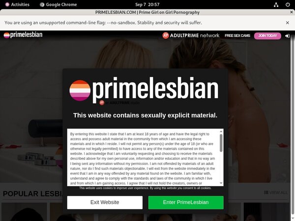 Prime Lesbians Porno