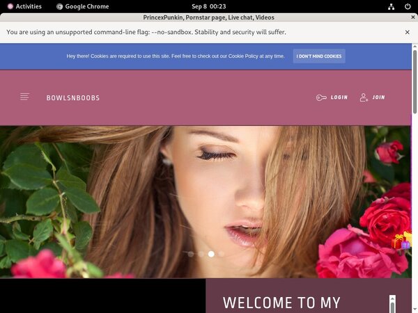 PrincexPunkin Password Accounts