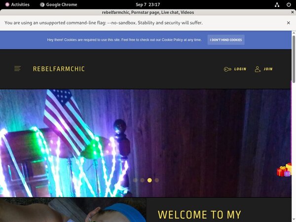 Rebelfarmchic.modelcentro.com Update Rebelfarmchic.modelcentro.com Update