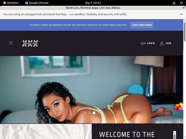 Sarah Lace Pro Biller Page