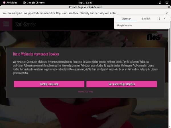 Sari Sander Account Password