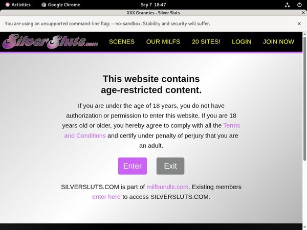 Silversluts Discount Deal Link