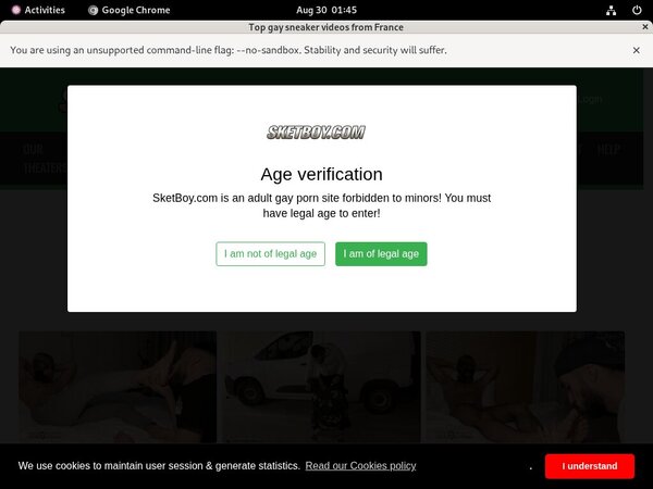 Sket Boy Login Generator