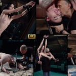 Subspace Land Password Account