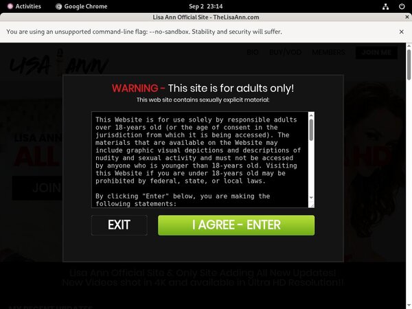 Thelisaann.com Site-rip